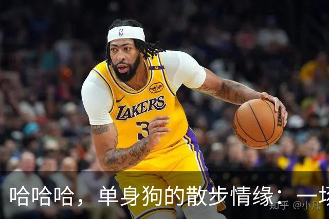哈哈哈，单身狗的散步情缘：一场幽默的家庭梦